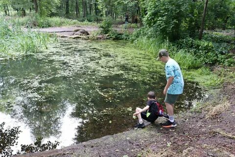 Вода в липецке в реке