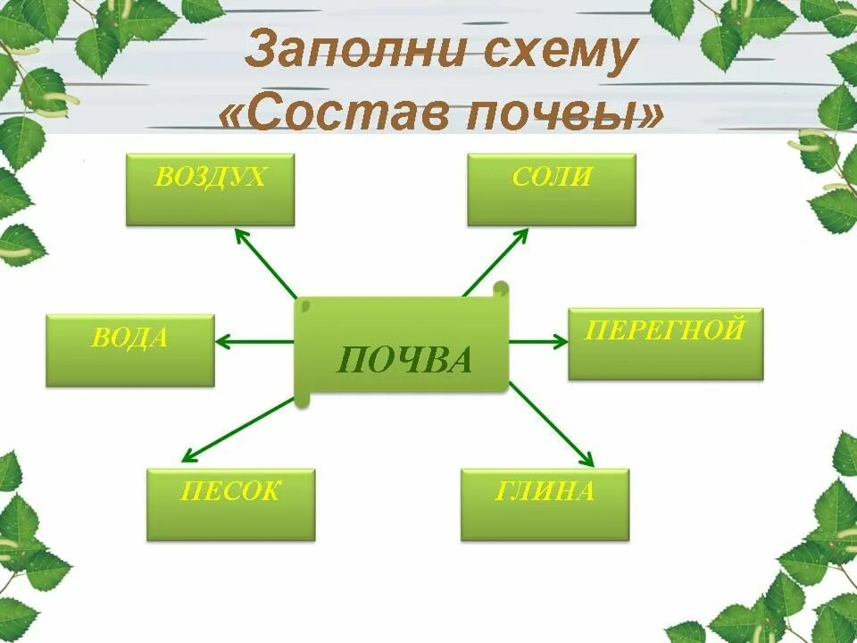 Лес презентация 4 класс плешаков. Состав почвы схема. Схема почвы 3 класс. Заполните схему состав почвы. Составьте схему состав почвы.