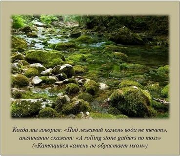 Объясните пословицу подлежащий камень вода не течет