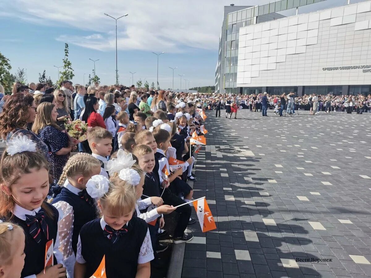 Школа воронеж 2023. Школа воронеж 2023. Школа воронеж 2023. Мвд сколково. Школа 63/2 тюмень.