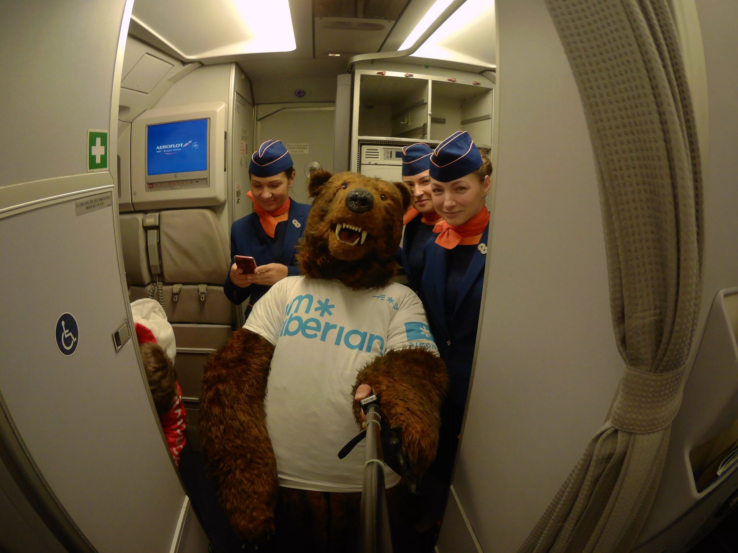 мишка на самолете. самолет медвежонок. мансур ил 14. самолет медвежонок. самолет медвежонок.