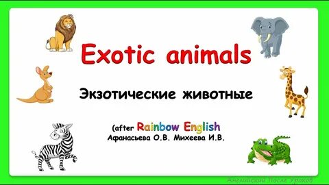 Проект животные английский язык 3 класс