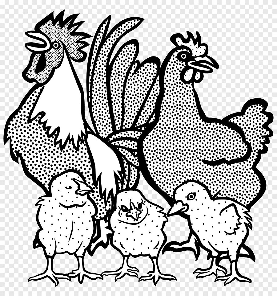 Семья куре. Курица раскраска. Курица раскраска для детей. Раскраска куры. Раскраска куры и цыплята.
