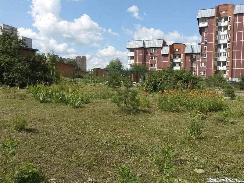 работа г пущино. пущино московская область. пущино зима. работа г пущино. пущино московская область.