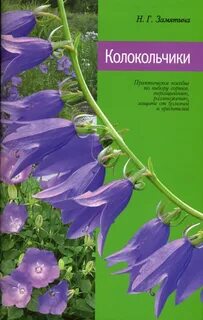 Колокольчик читать