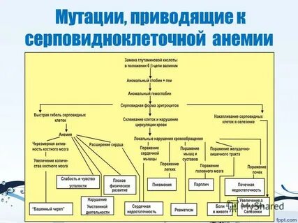 Серповидно клеточное нарушение клинические рекомендации