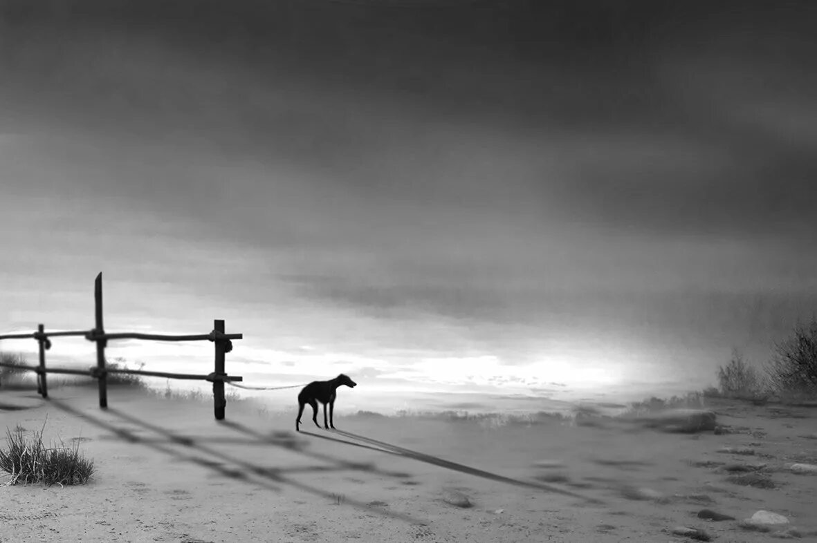Серая жизнь это какой. Серая жизнь. серость жизни. серая жизнь фото. grey life.
