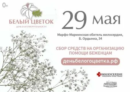 Акция белый цветок 2024 год
