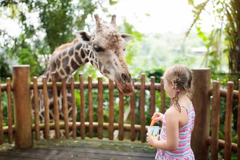 Zoo child. Дети в зоопарке. Детский зоопарк. Малыши в зоопарке. Жираф в Московском зоопарке.