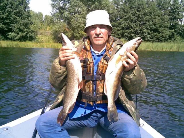 улов щуки. 5 щук маленьких грамм по 300-400 картинки. рыбалка кг. таймень 100кг. рыбалка кг.