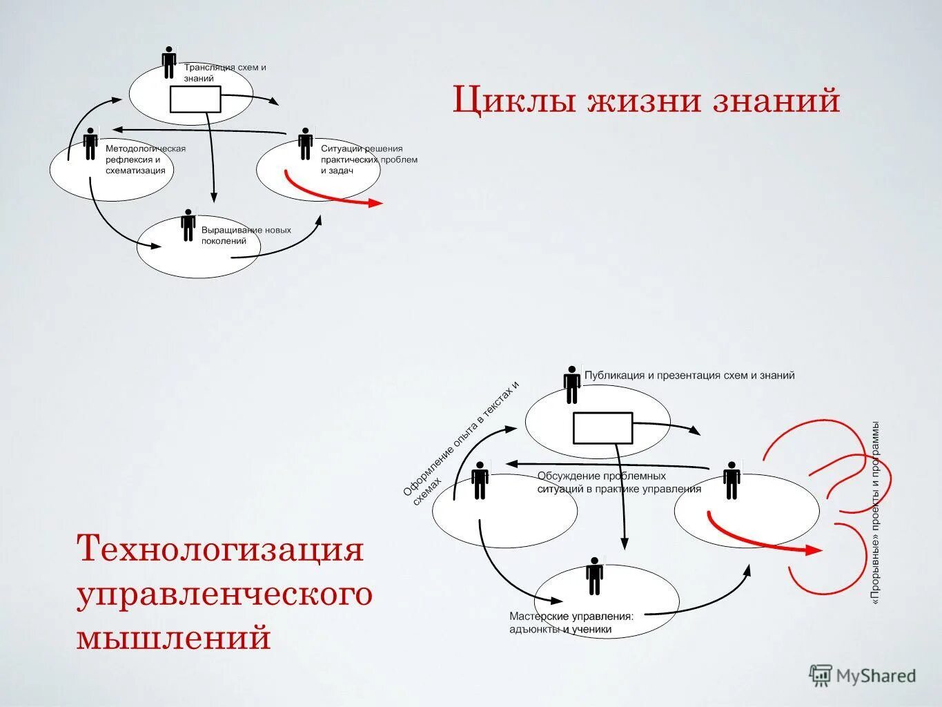 8 циклов жизни