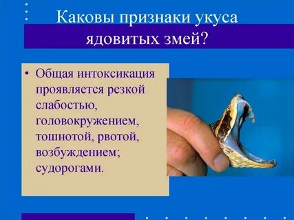 Признаки змей