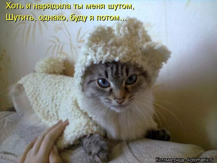 кличко мем. готовимся к зиме надпись. уже к зиме готовы?. доброе утро зима дети. к зиме готова прикольные.