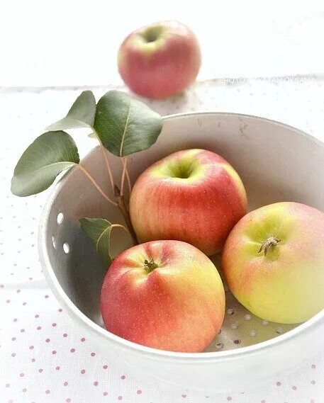 Самые красивые яблоки. Photo dried fruit. Яблоко эмодзи аппле. Яблоко в руке. Самые красивые яблоки.