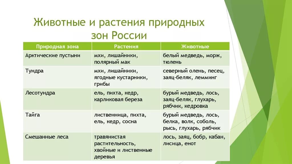 Растения природных зон земли. Растения и животные природных зон россии таблица 4 класс. природные зоны россии растительный и животный мир таблица. таблица растительный и животный мир. природные зоны иростения.