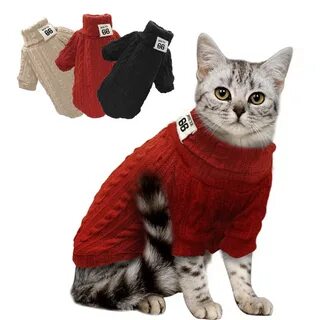 Котики с одеждой