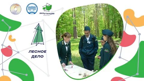 Лесное дело отзывы