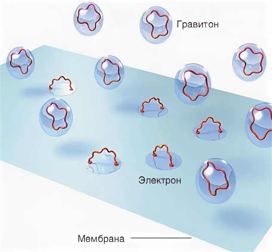 квантовый мир. квант элементарная частица. гравитон частица. гравитон частица. глюоны бозоны фотоны.