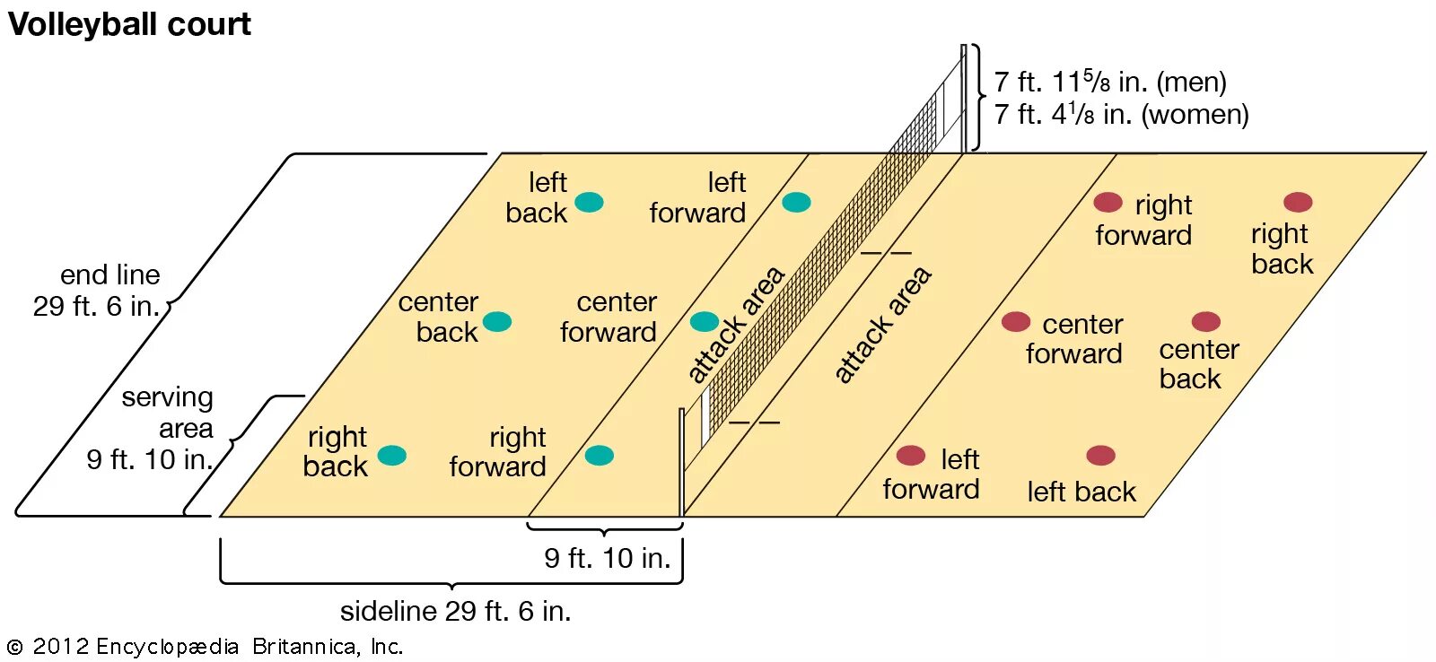 Volleyball Court. Volleyball Zones. Volleyball positions. Zone in Volleyball. Back area