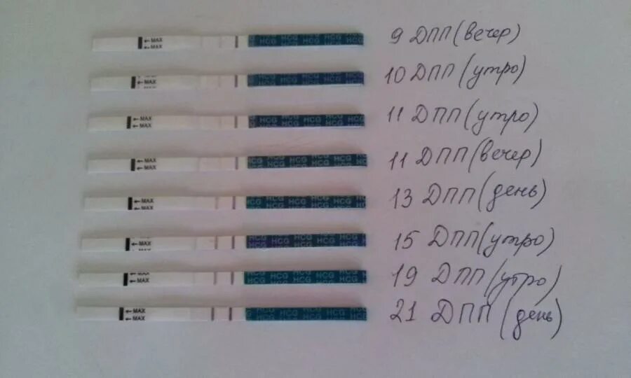 Тянет живот после эко. Тесты на беременность после подсадки на 8 день. 9 Дней после подсадки эмбриона тест. Тесты на беременность после переноса эмбрионов. Тест на беременность на 10 день после переноса эмбрионов.