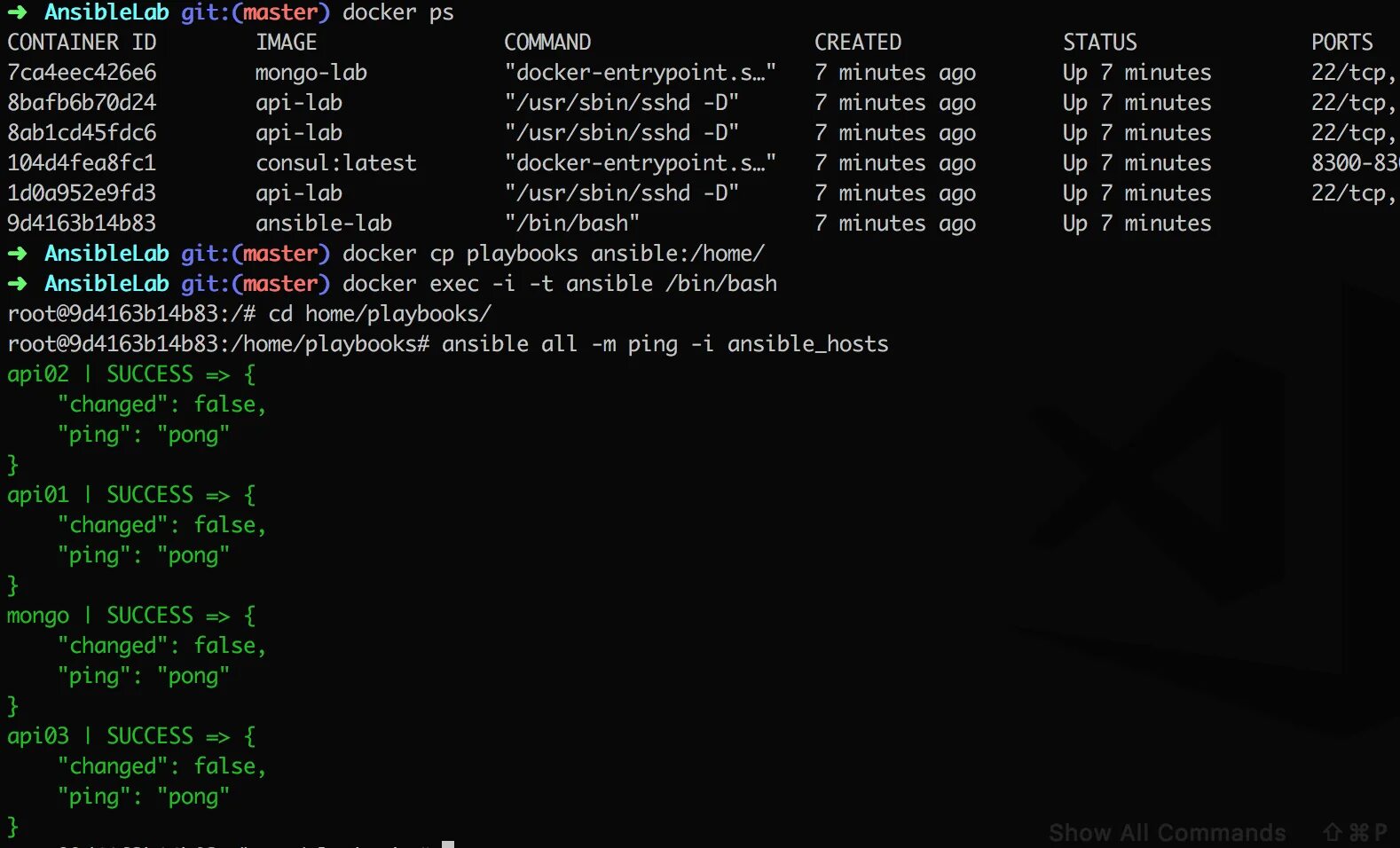 Ping host. Пинг хост. Ansible hosts. Ansible Inventory. Ansible Ping.