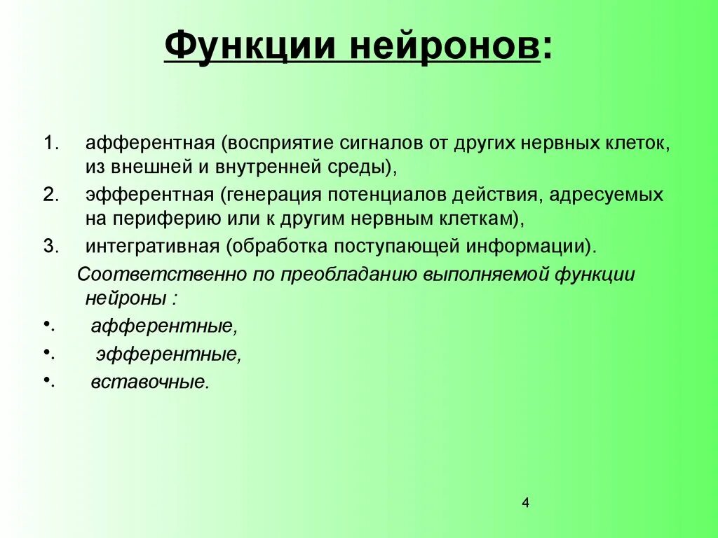 Функции нейрона. Какие функции выполняет Нейрон. Основные функции нейрона. Нейроны выполняют функцию.