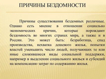 Причины появления бездомных животных