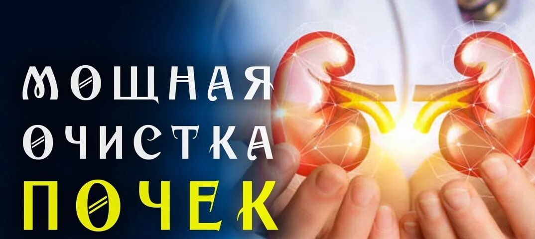 Гаряев лечение почек. Матрица гаряева исцеляющая почки. матрицы горяева на исцеление. квантовое исцеление. матрицы гаряева на исцеление почек.