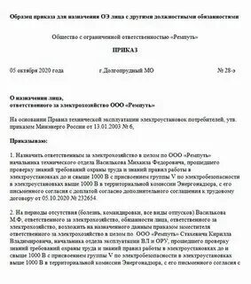 Какие документы ответственному за электрохозяйство