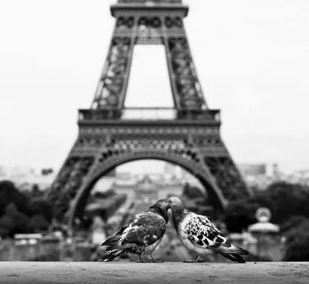 Paris black