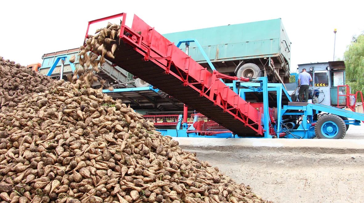 мелеузовский сахарный завод. сахарный завод изобильный. завод в изобильном сахарный завод. сахарный завод изобильный ставропольский край. изобильный сахарный завод.