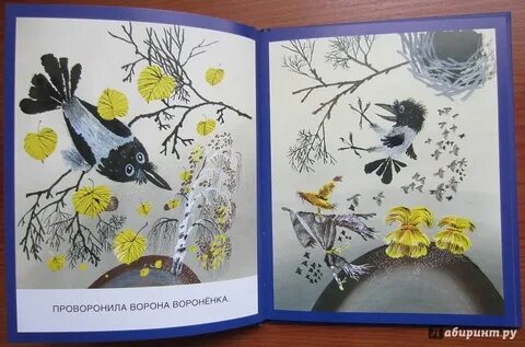 Проворонила ворона воронят