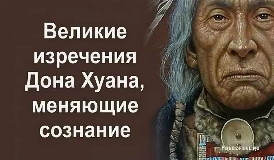 Хуана цитаты. Индейский шаман дон хуан. великие изречения дона хуана меняющие сознание. дон хуан изречения. дон хуан цитаты.
