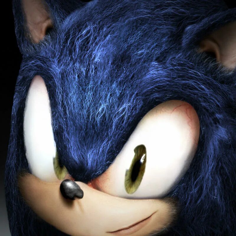 Enya sonic. Ежик Соник. Соник синий Ежик. Соник в реальной жизни. Солник в реальной жизни.