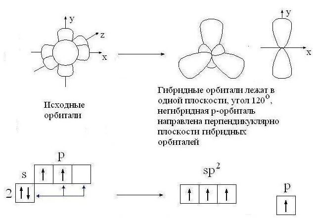 Пропен гибридизация. Sp3 гибридные орбитали. Sp2 гибридные орбитали углерода. Схема гибридных орбиталей. Типы перекрывания орбиталей химия.
