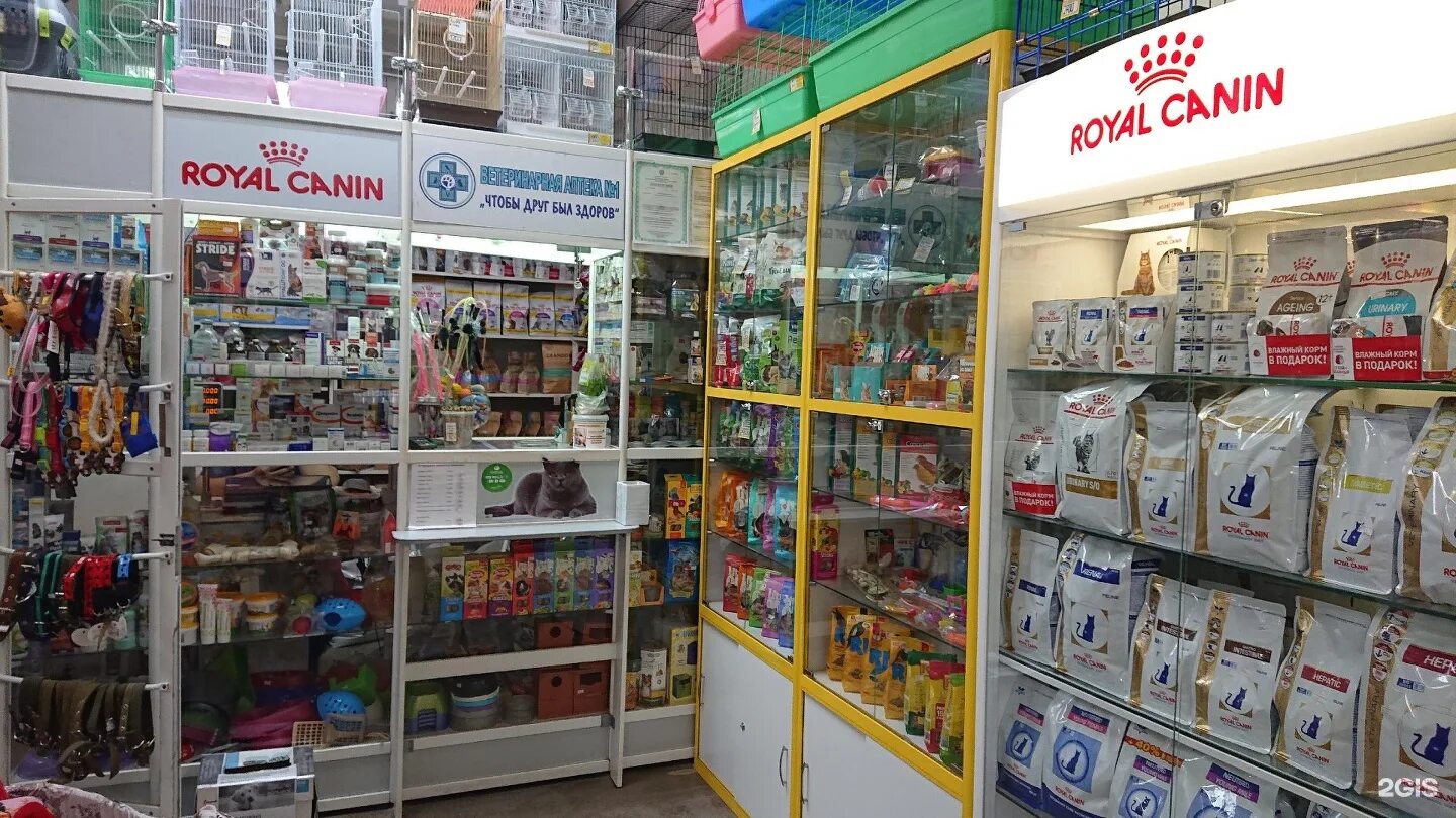 ветаптека великий новгород. ветеринарная клиника нижний новгород автозаводский. ветеринарная аптека нижний новгород. ветеринарная клиника нижний новгород гордеевская улица. ветаптека мира великий новгород.