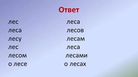Слова на лес на солнце