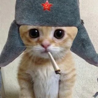 Ава ну