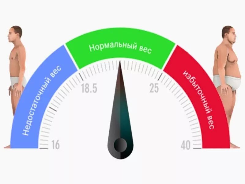 Как поддерживать вес. Поддержание нормальной массы тела. Индекс массы тела. ИМТ картинки. Контроль веса.
