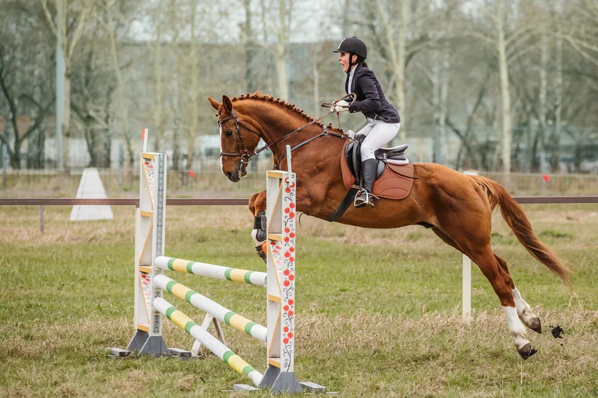 Хоббихорсинг конкур. Хобби хорс конкур. Хоббихорсинг конкур. Хоббихорсинг конкур. Хоббихорсинг соревнования в финляндии.
