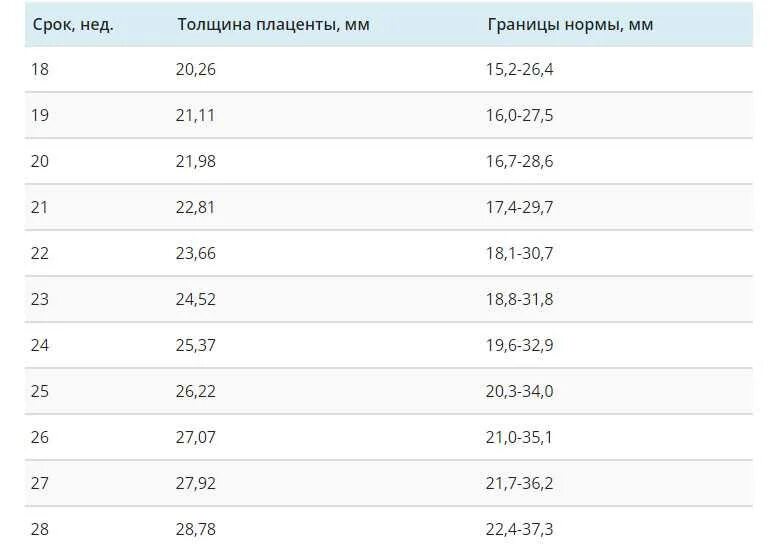 Норма толщины плаценты по неделям беременности. Норма толщины плаценты в 20 недель беременности. Плацента на 34 неделе беременности. Плацента у беременных фото вживую. Плацента в 26 недель беременности норма таблица.