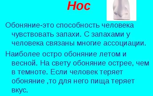 Почему человек не чувствует запахи. Интересные факты про обоняние. удивительные факты о носе. интересные факты про обоняние человека. информация о носе человека.