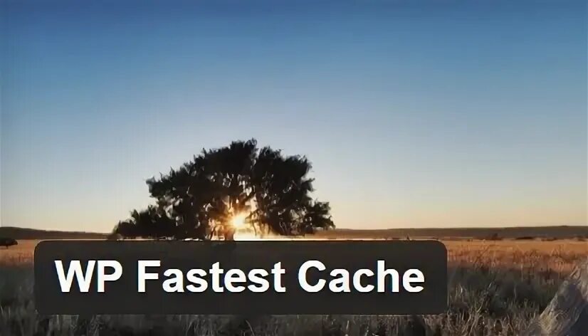 Faster cache. Faster cache