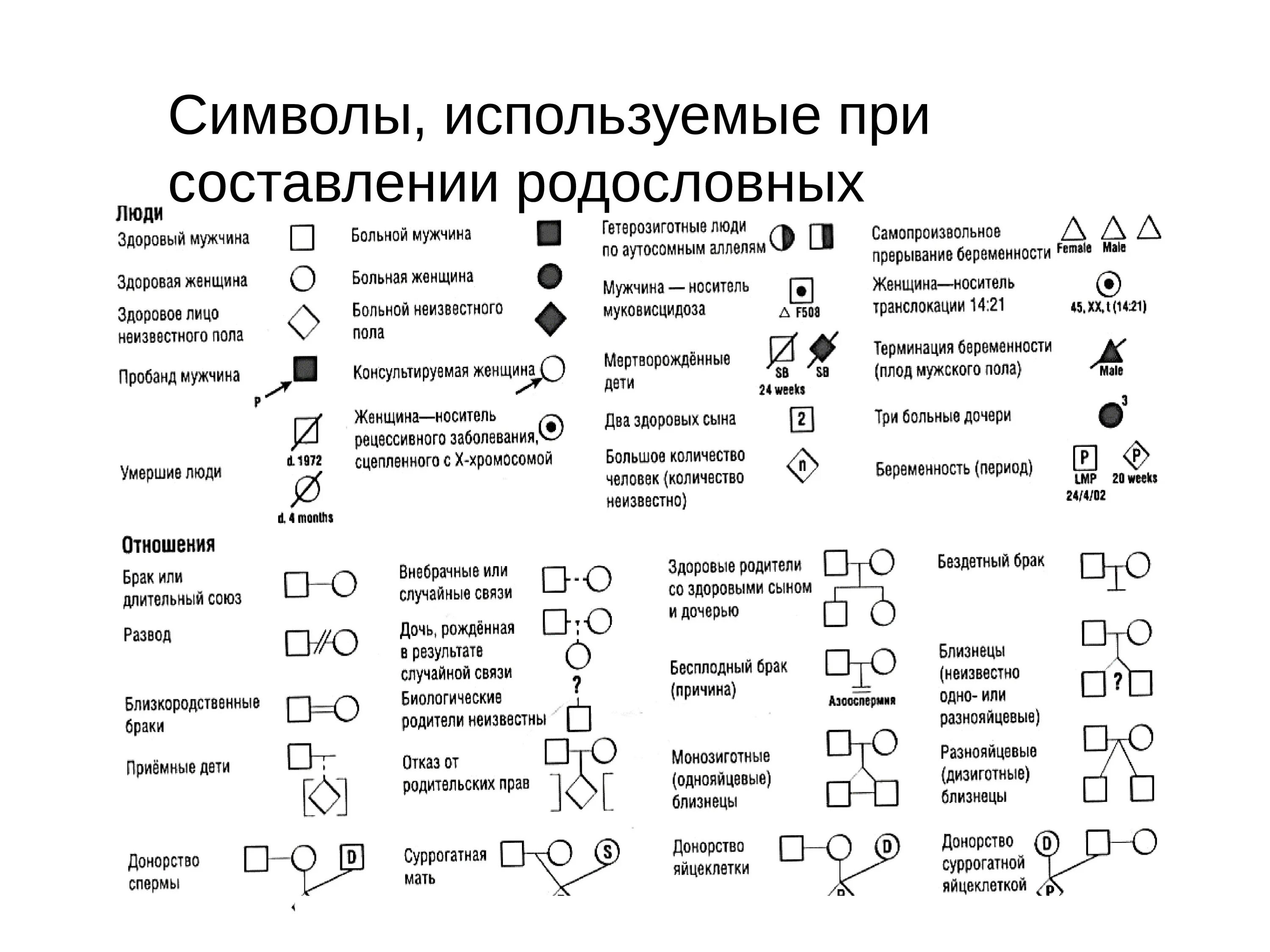 Условные обозначения в генеалогическом древе