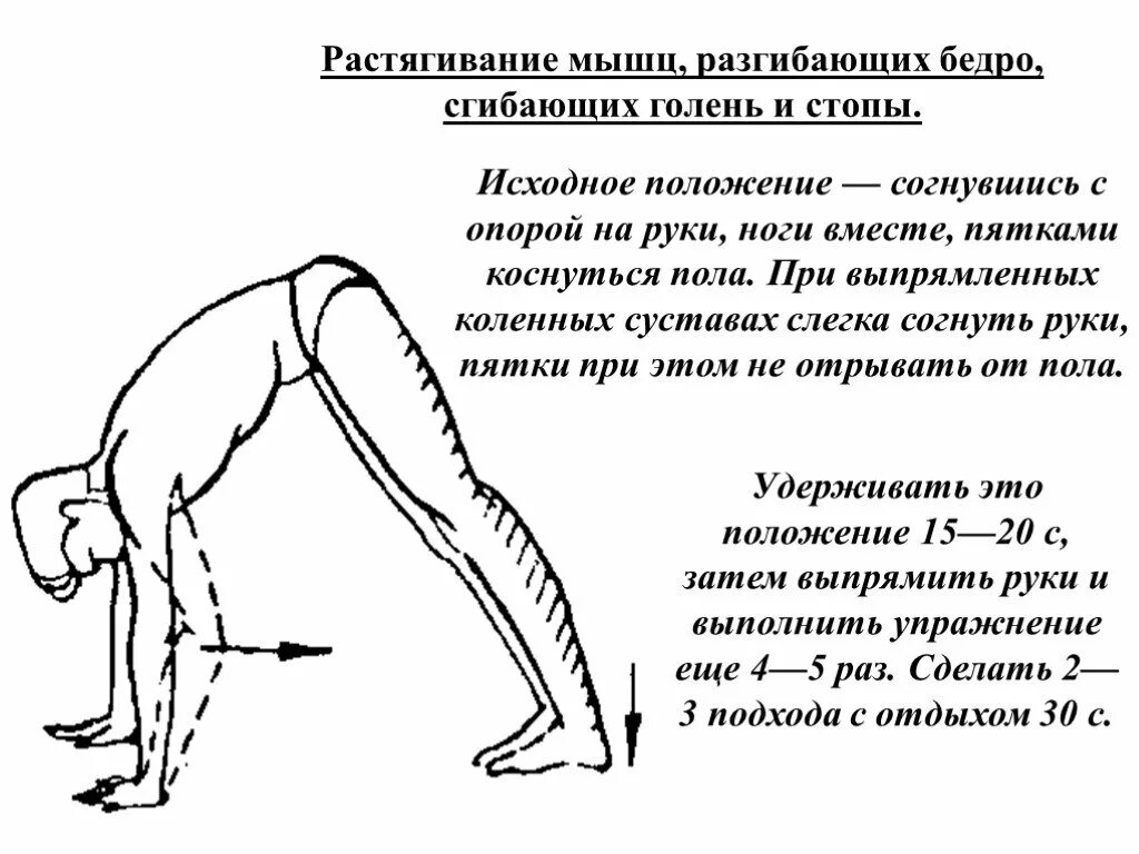 Больно разгибать. Растяжка мышц сгибателей бедра. Положение стоя на согнутых ногах. Исходное положение руки согнуты. Положение согнувшись.