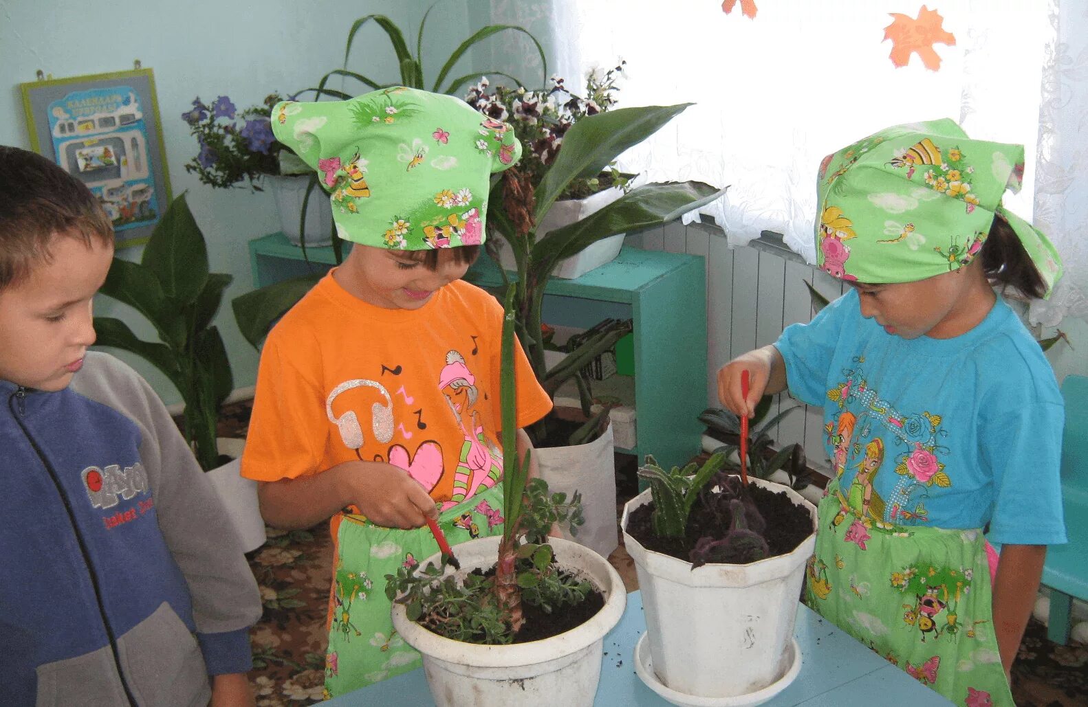Комнатные цветы старшая группа. Ухаживание за растениями в детском саду. Комнатные цветы в ДОУ. Комнатные растения для детей в ДОУ.