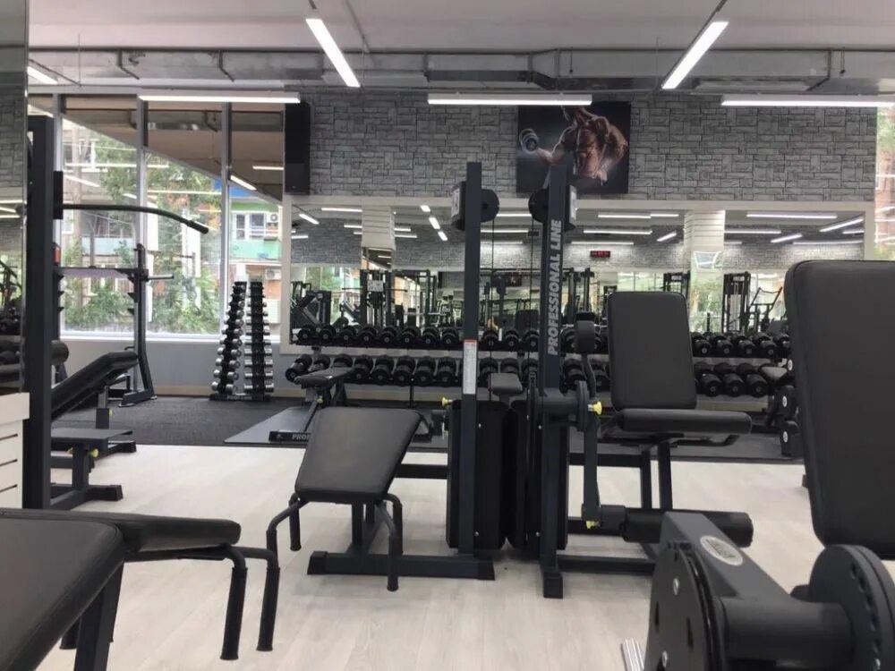 Тренажерные залы астрахани. Адреналин георгиевск спортзал. Тренажерные залы астрахань. Викинг коркино тренажерный зал. Спортзал викинг астрахань.