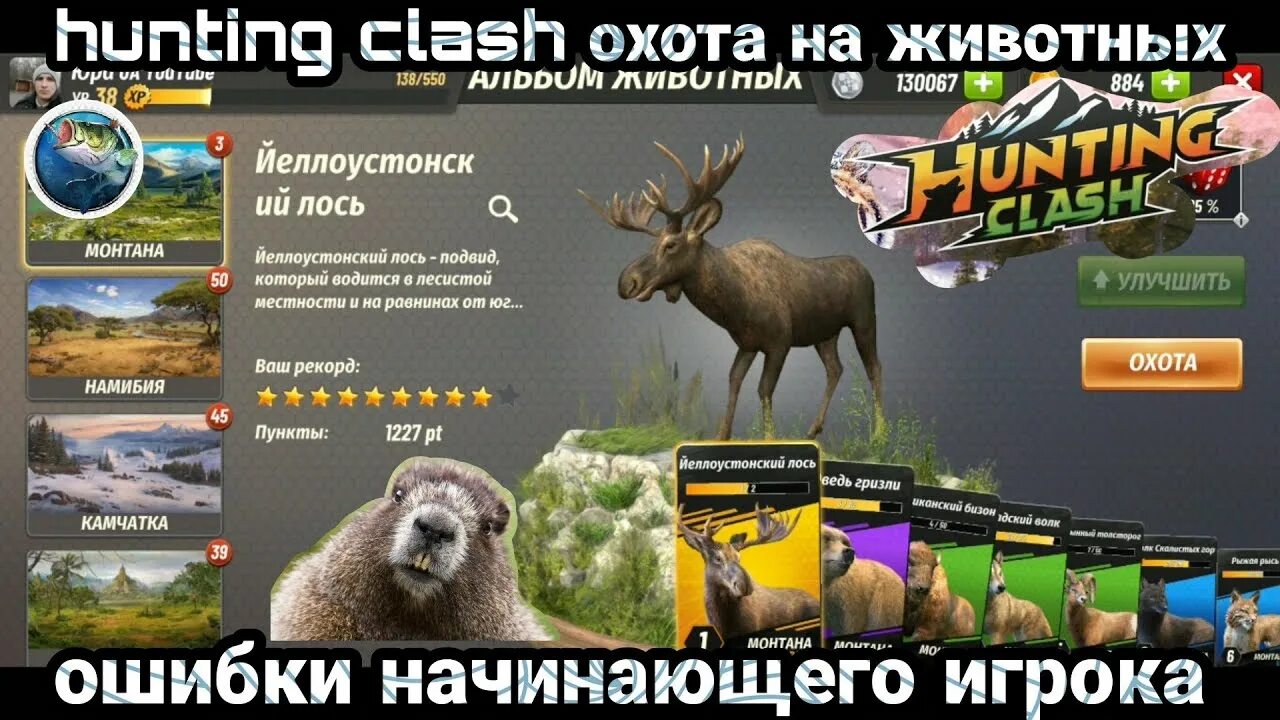 Hunting clash. Hunting clash: охота на животных игра про охоту. игра хантинг клеш. hunting clash симулятор охоты.