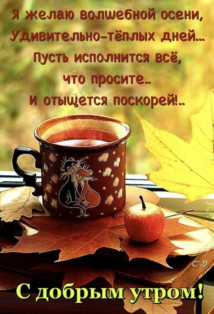 Доброе осеннее утро картинки с пожеланиями добра. С добрым осенним утром. СС добрым осеннимиутром. С бобрви о сенним ктром. Сдобрым осеньним утром.