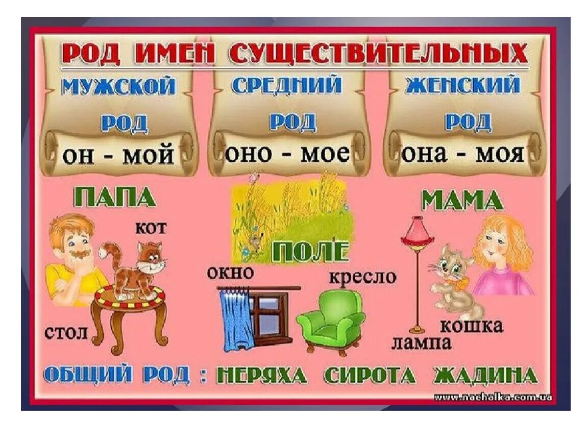 Картинки которые отвечают на вопрос кто. Имена существительные единственного и множественного числа. Имена сущ одушевленные и неодушевленные. Игры на уроках русского языка. Одушевленные и неодушевленные предметы для дошкольников задания.